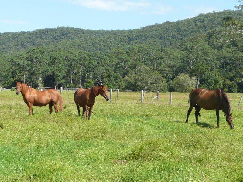 LOTS 3 and 103 Yarramalong Road, Wyong NSW 2259