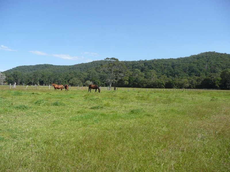 LOTS 3 and 103 Yarramalong Road, Wyong NSW 2259