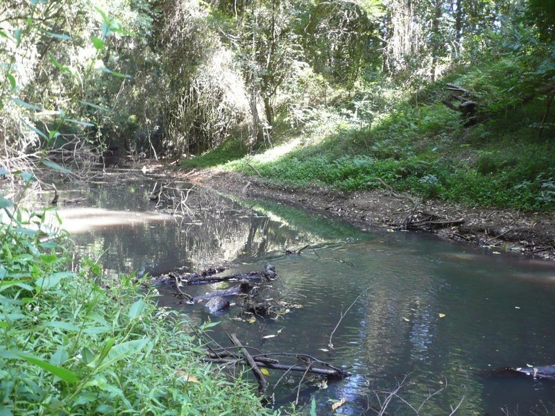 LOTS 3 and 103 Yarramalong Road, Wyong NSW 2259