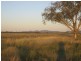0 Lachlan Valley Way, Lake Cargelligo NSW 2672