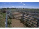 0 Lachlan Valley Way, Lake Cargelligo NSW 2672