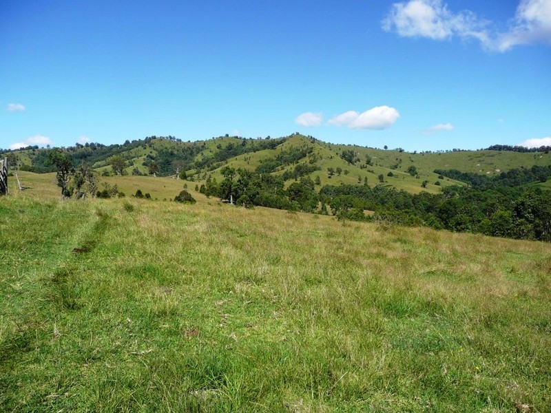 2123 Salisbury Road, Salisbury NSW 2420