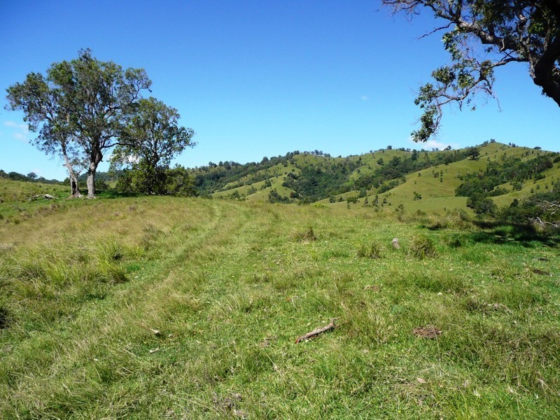 2123 Salisbury Road, Salisbury NSW 2420