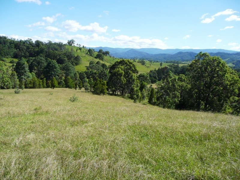 2123 Salisbury Road, Salisbury NSW 2420