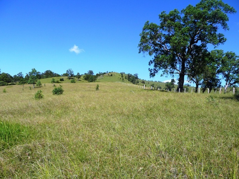 2123 Salisbury Road, Salisbury NSW 2420