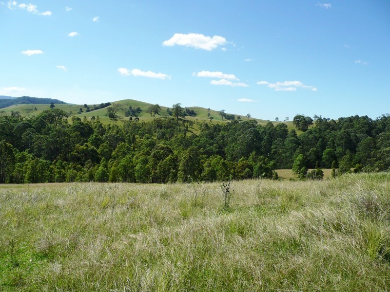 2123 Salisbury Road, Salisbury NSW 2420