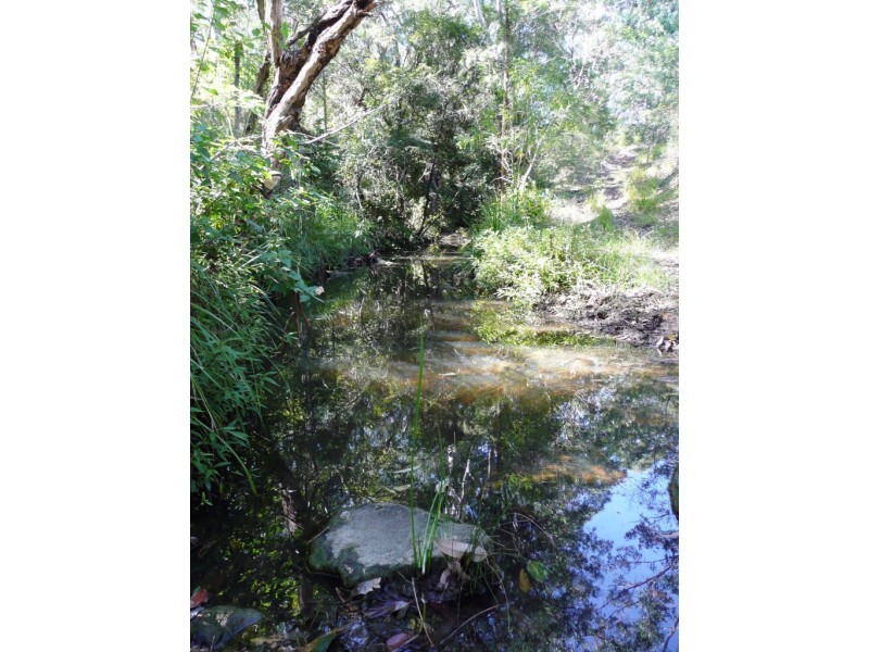 2123 Salisbury Road, Salisbury NSW 2420