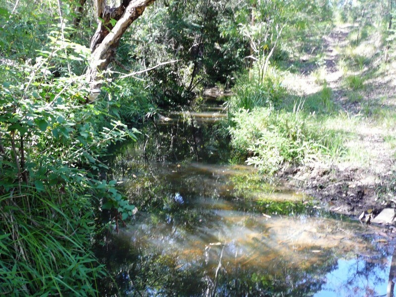 2123 Salisbury Road, Salisbury NSW 2420