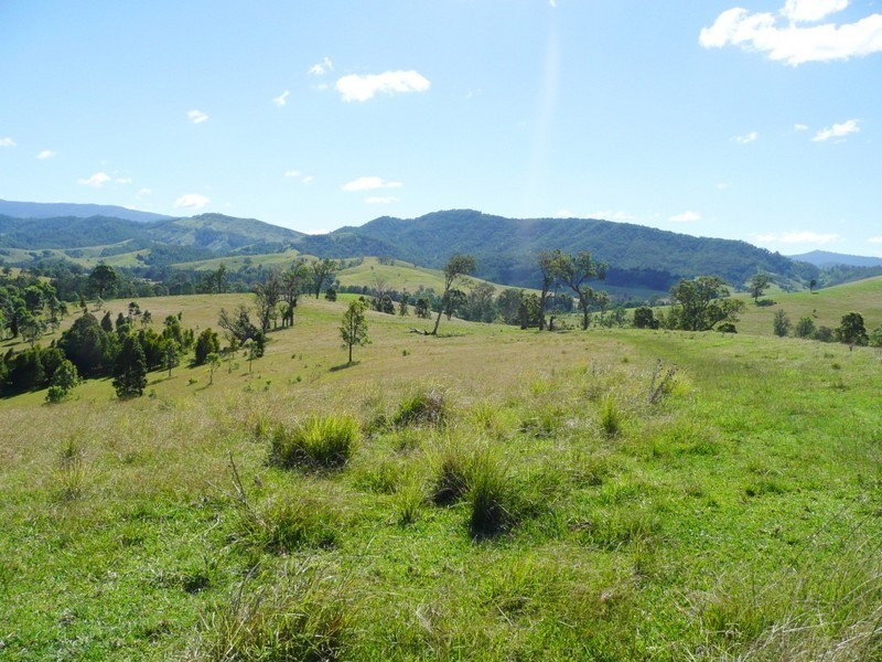 2123 Salisbury Road, Salisbury NSW 2420