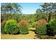 9 Yarramalong Road, Wyong Creek NSW 2259