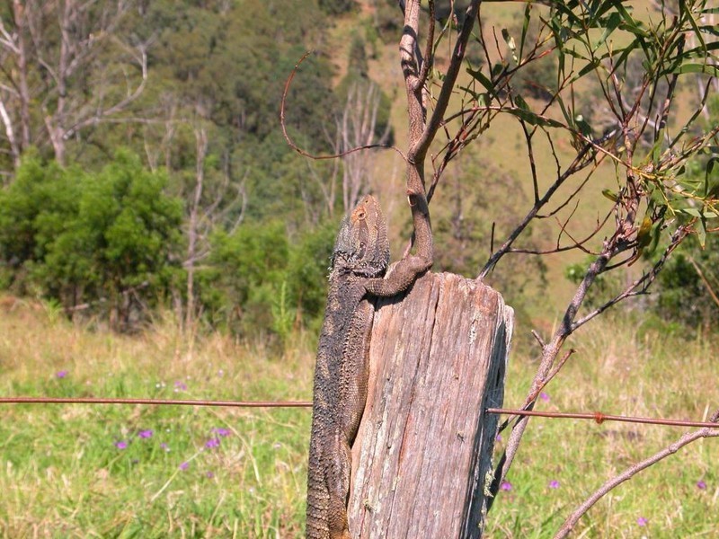 1054-1089 Bakers Creek Road, Gloucester NSW 2422