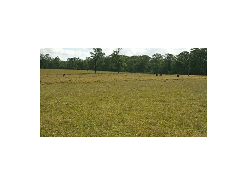 673 Glen William Road, Glen William NSW 2321