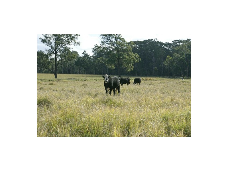 673 Glen William Road, Glen William NSW 2321