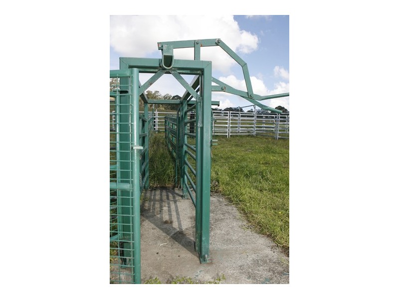 673 Glen William Road, Glen William NSW 2321