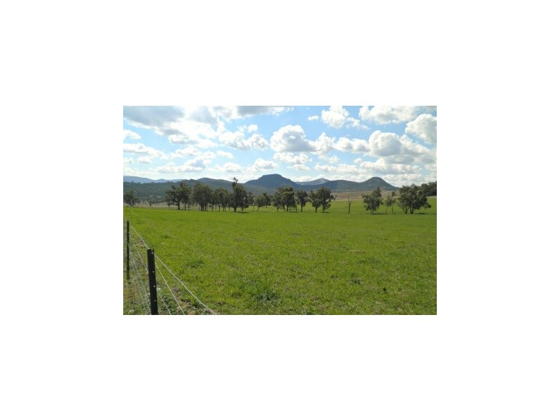 394 Woonooka Road, Moore Creek NSW 2340