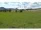 394 Woonooka Road, Moore Creek NSW 2340
