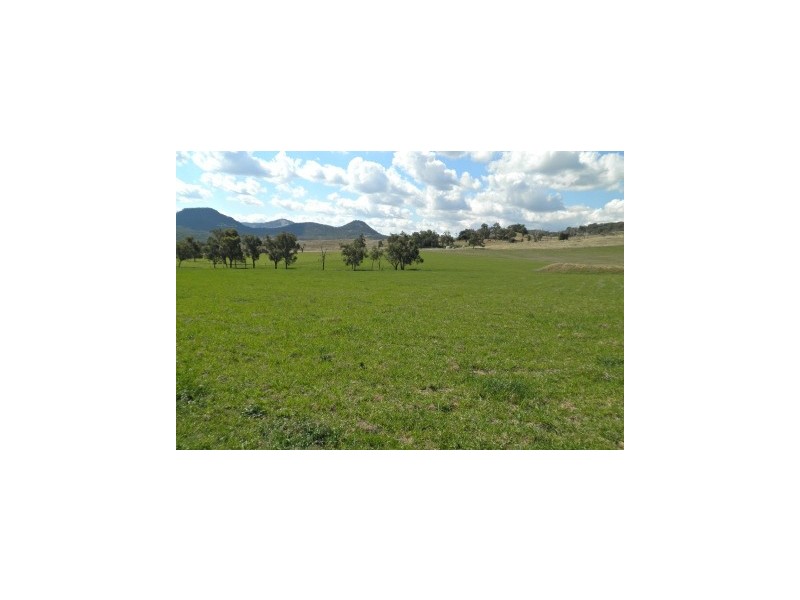 394 Woonooka Road, Moore Creek NSW 2340