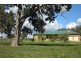 394 Woonooka Road, Moore Creek NSW 2340