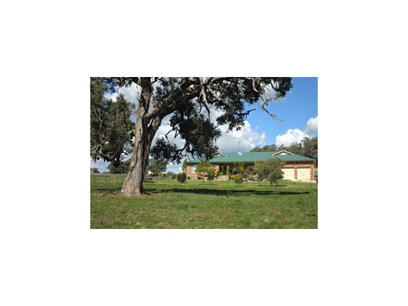 394 Woonooka Road, Moore Creek NSW 2340