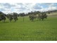394 Woonooka Road, Moore Creek NSW 2340
