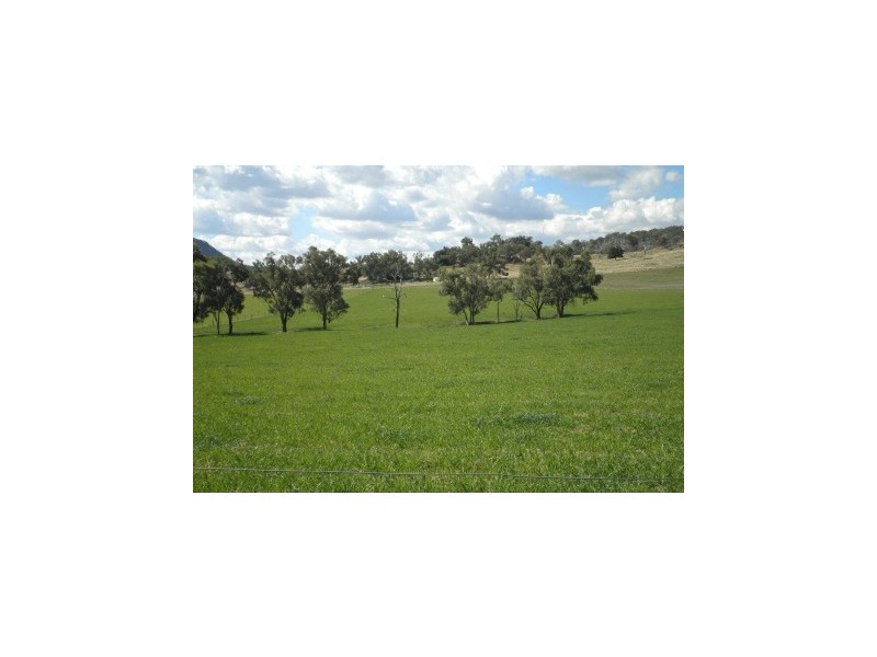 394 Woonooka Road, Moore Creek NSW 2340