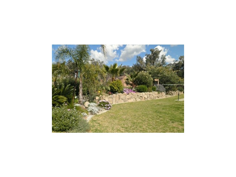 394 Woonooka Road, Moore Creek NSW 2340