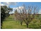 394 Woonooka Road, Moore Creek NSW 2340