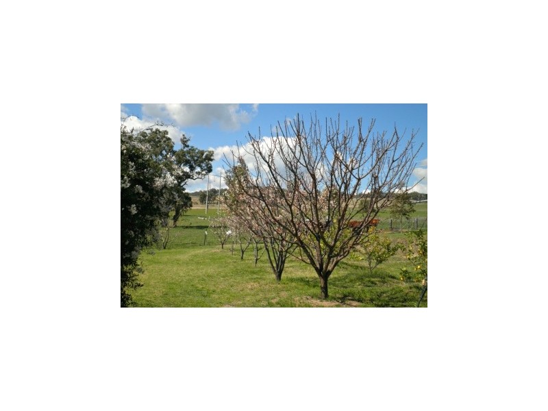 394 Woonooka Road, Moore Creek NSW 2340