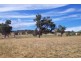 394 Woonooka Road, Moore Creek NSW 2340