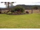 394 Woonooka Road, Moore Creek NSW 2340
