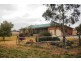 394 Woonooka Road, Moore Creek NSW 2340