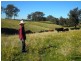 97 Woerdens South Road, Clarence Town NSW 2321