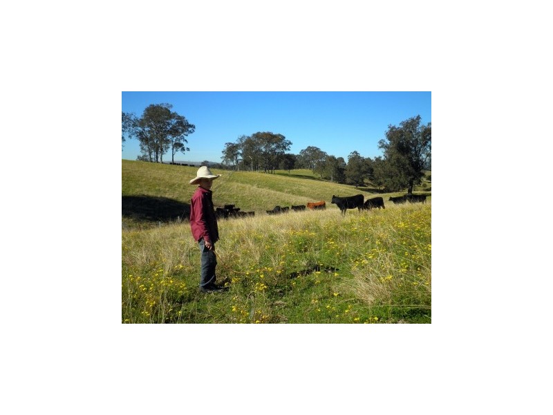 97 Woerdens South Road, Clarence Town NSW 2321