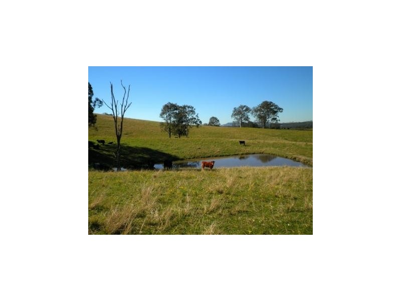 97 Woerdens South Road, Clarence Town NSW 2321