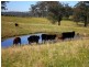 97 Woerdens South Road, Clarence Town NSW 2321