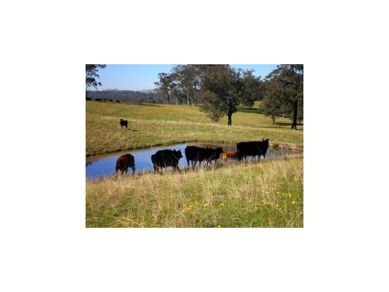 97 Woerdens South Road, Clarence Town NSW 2321