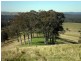 97 Woerdens South Road, Clarence Town NSW 2321