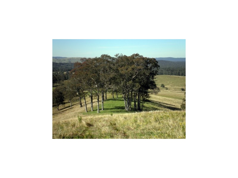 97 Woerdens South Road, Clarence Town NSW 2321