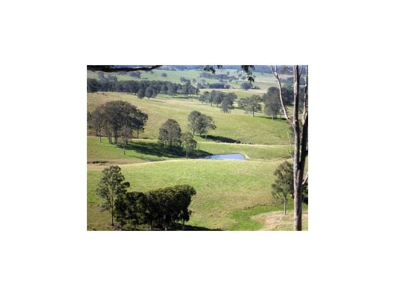 97 Woerdens South Road, Clarence Town NSW 2321
