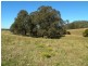97 Woerdens South Road, Clarence Town NSW 2321