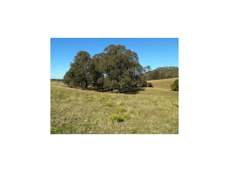 97 Woerdens South Road, Clarence Town NSW 2321