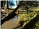97 Woerdens South Road, Clarence Town NSW 2321