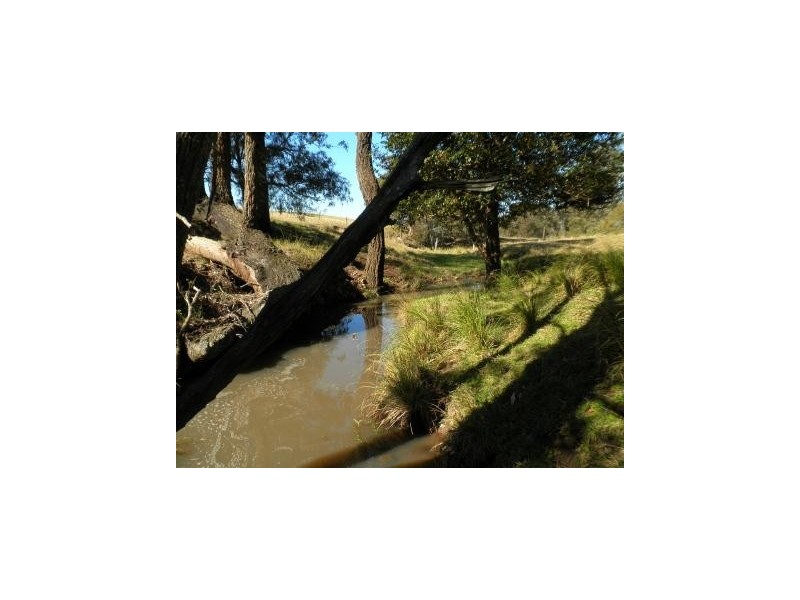 97 Woerdens South Road, Clarence Town NSW 2321