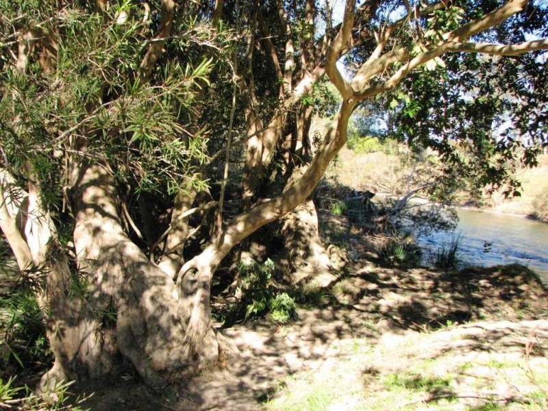 403 Manchester Road, Barrington NSW 2422