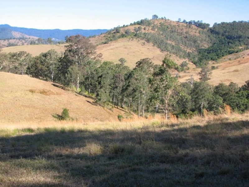 403 Manchester Road, Barrington NSW 2422