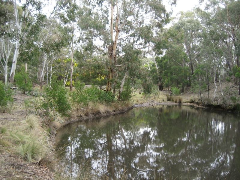 949 Cullulla Road, Tarago NSW 2580