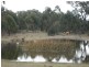 949 Cullulla Road, Tarago NSW 2580