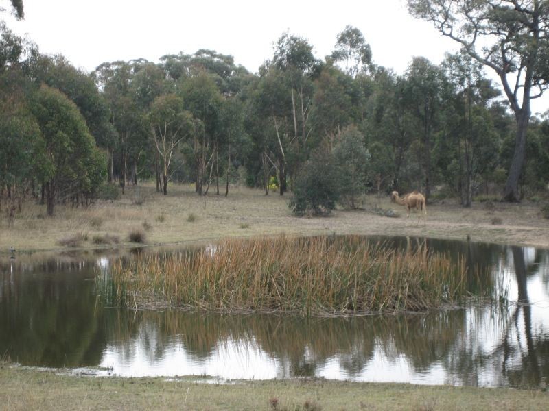 949 Cullulla Road, Tarago NSW 2580