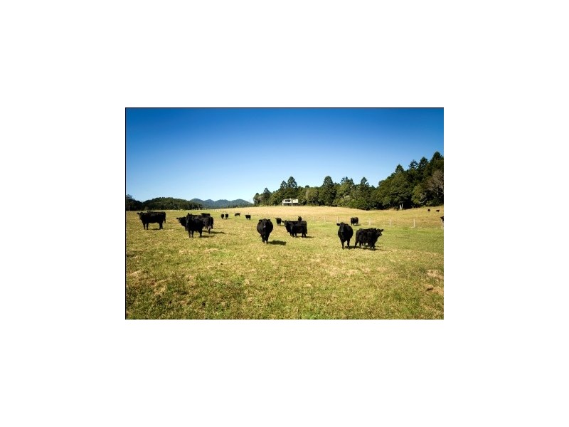 Lots 57 and 58 Upper Bo Bo Road, Brooklana NSW 2450