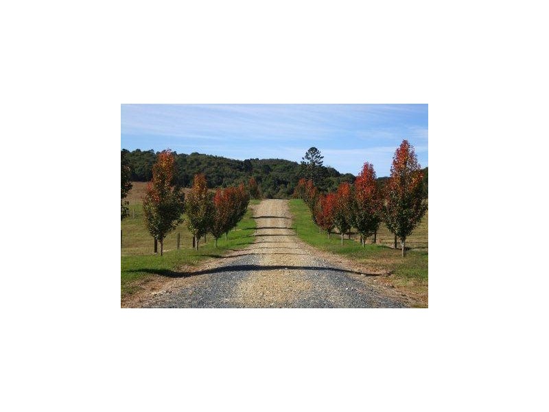 Lots 57 and 58 Upper Bo Bo Road, Brooklana NSW 2450